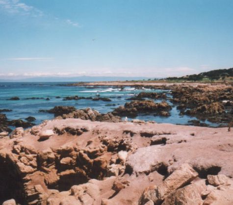 The West 2001
