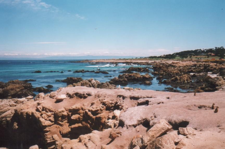single page image