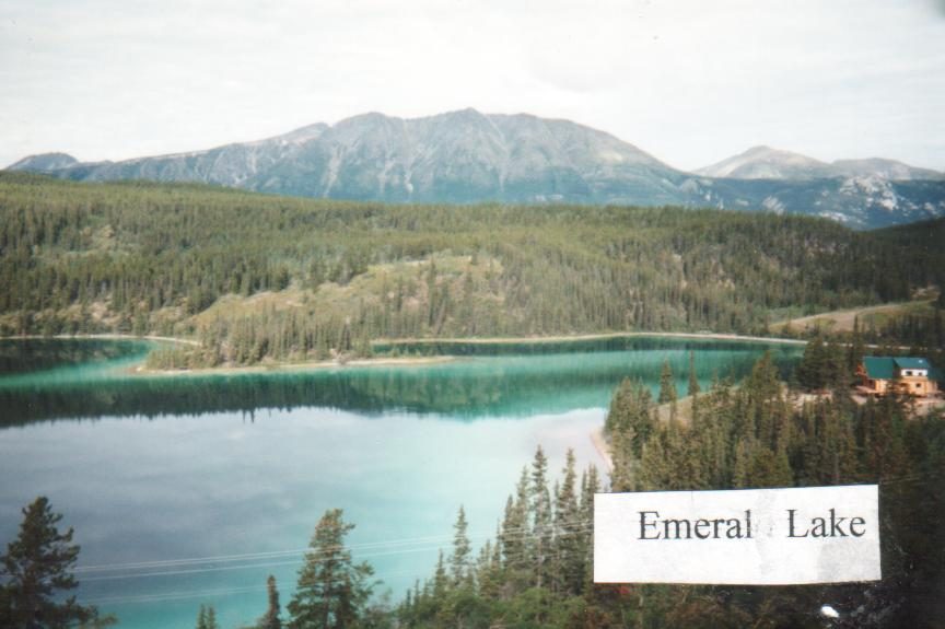 single page image