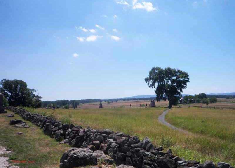 single page image