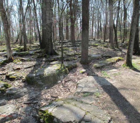 Stone's River (Murfreesboro)