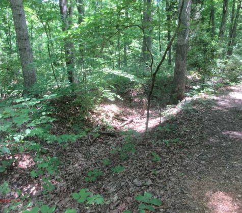 North Anna and Totopotomoy Creek